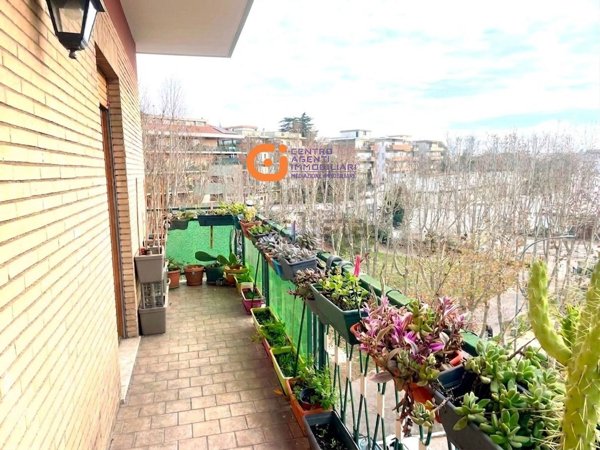 appartamento in vendita a Roma in zona Monte Sacro/Talenti