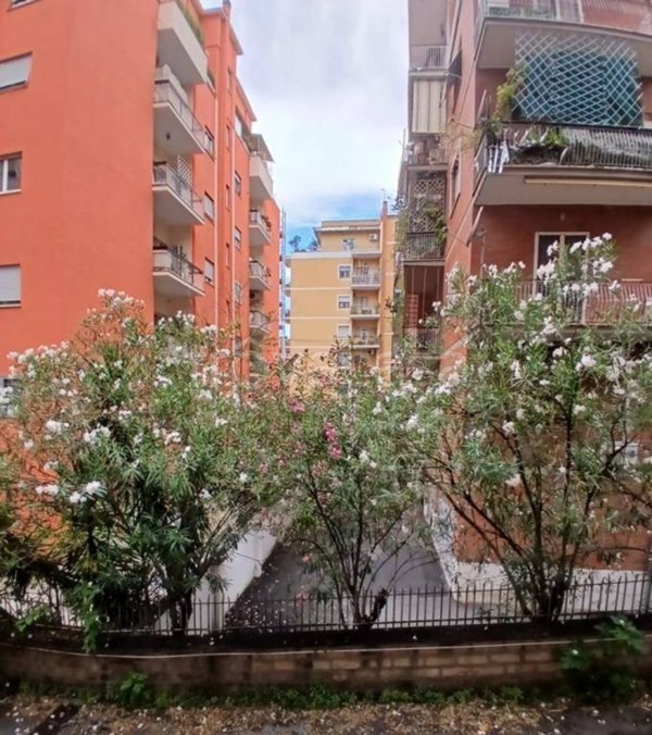 appartamento in vendita a Roma in zona Monte Sacro/Talenti