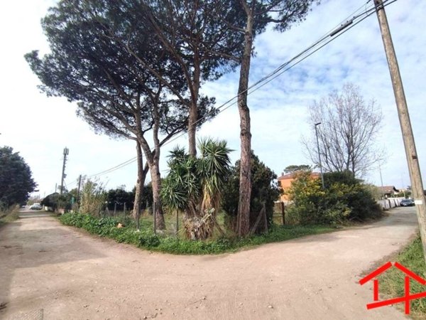 negozio in vendita a Roma in zona Casal Palocco