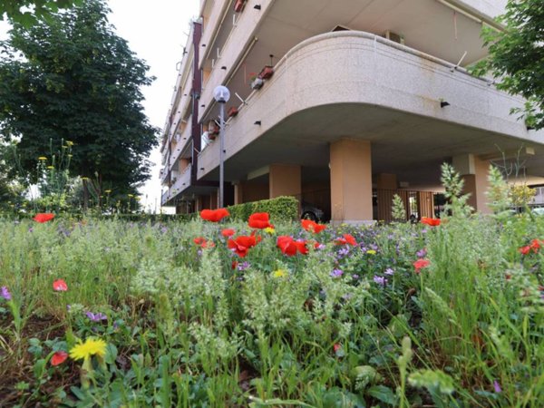 appartamento in vendita a Roma in zona Ponte di Nona