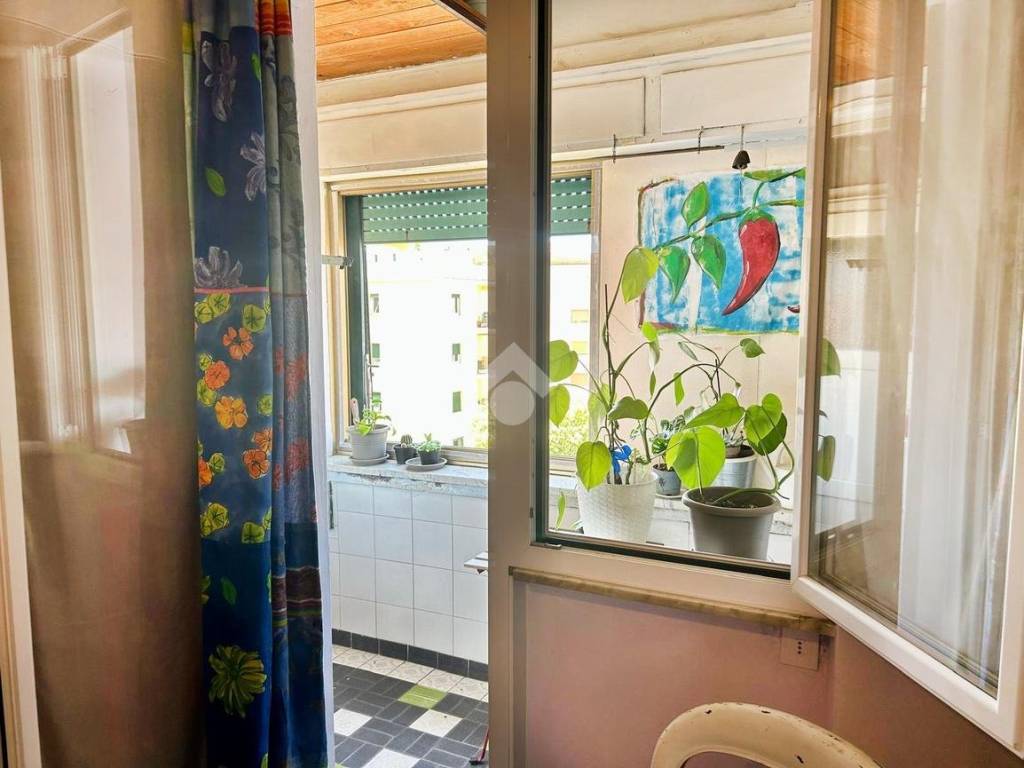 appartamento in vendita a Roma in zona Monte Sacro/Talenti