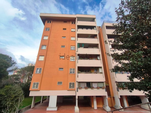 appartamento in vendita a Roma in zona Ardeatino