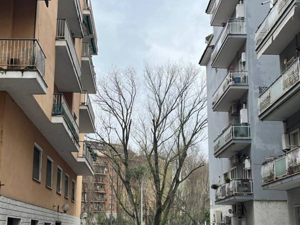 locale commerciale in vendita a Roma in zona Monte Sacro/Talenti