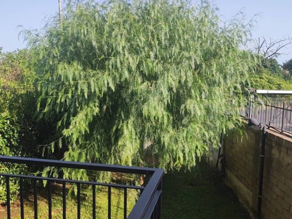 appartamento in vendita a Roma in zona Selva Candida