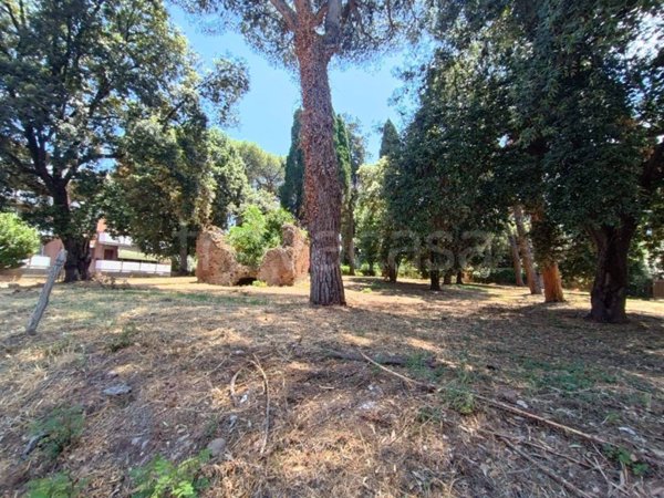 terreno agricolo in vendita a Roma in zona Appio Claudio