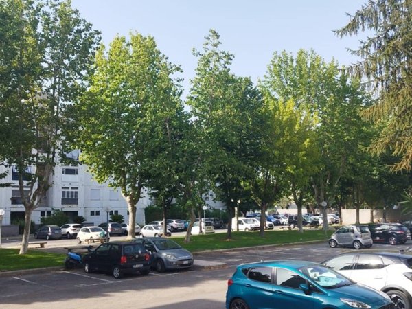 appartamento in vendita a Roma in zona Acilia