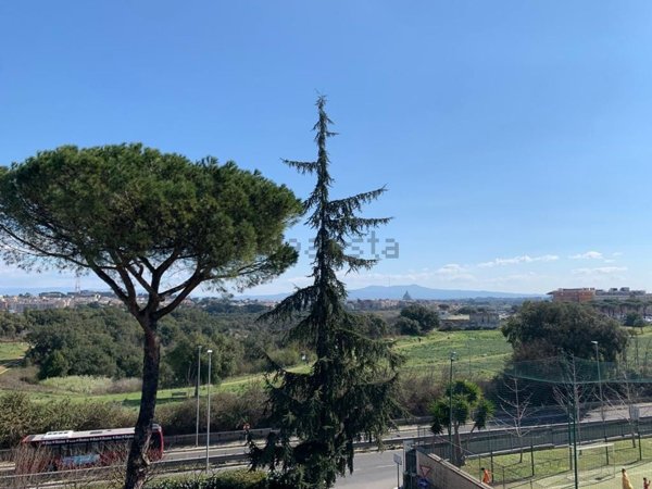 appartamento in vendita a Roma in zona Primavalle