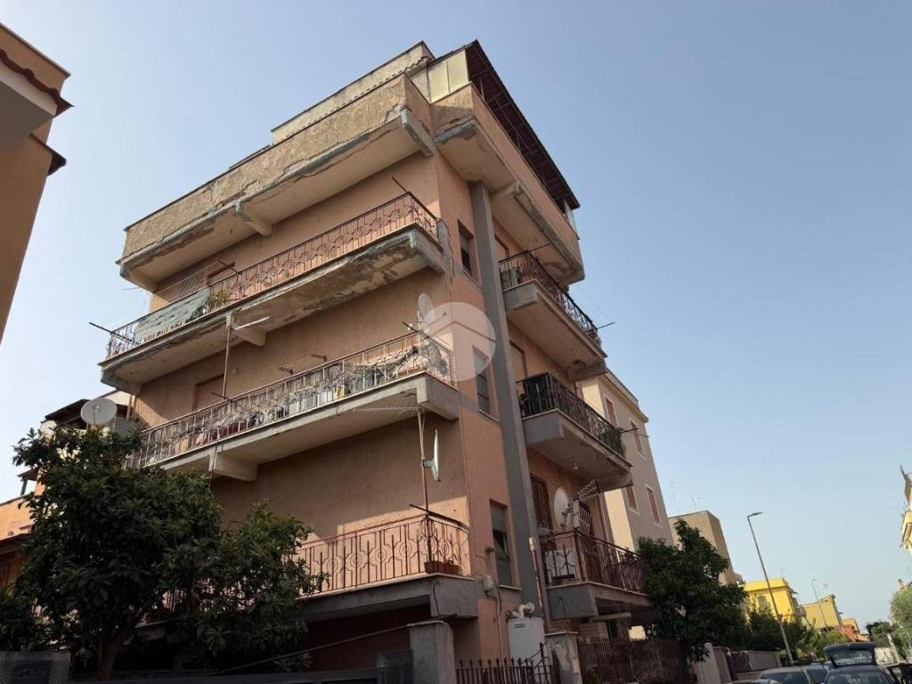 appartamento in vendita a Roma in zona Tor Vergata/Torrenova