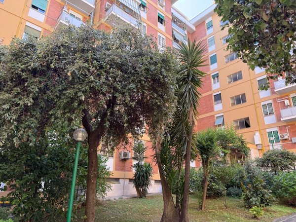 appartamento in vendita a Roma in zona Ostiense