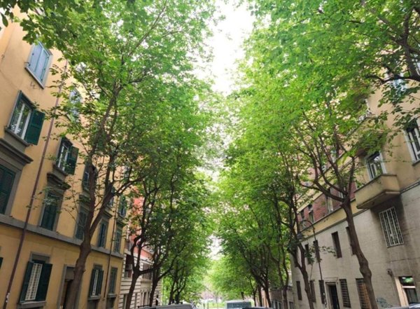 appartamento in vendita a Roma in zona Rione Monti/Campitelli