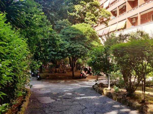 appartamento in vendita a Roma in zona Monte Sacro/Talenti