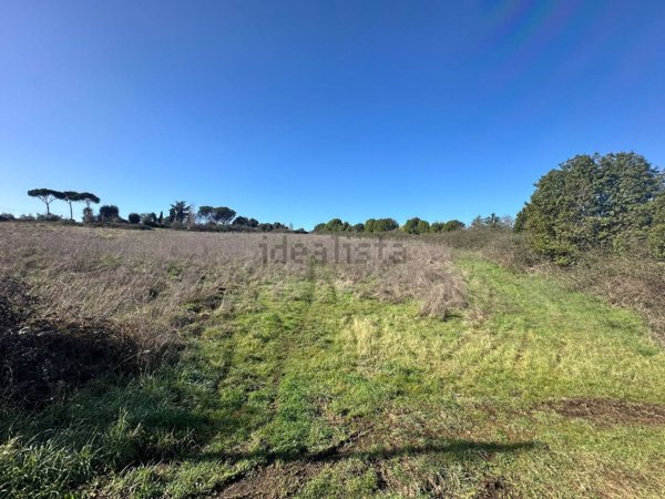 terreno agricolo in vendita a Roma