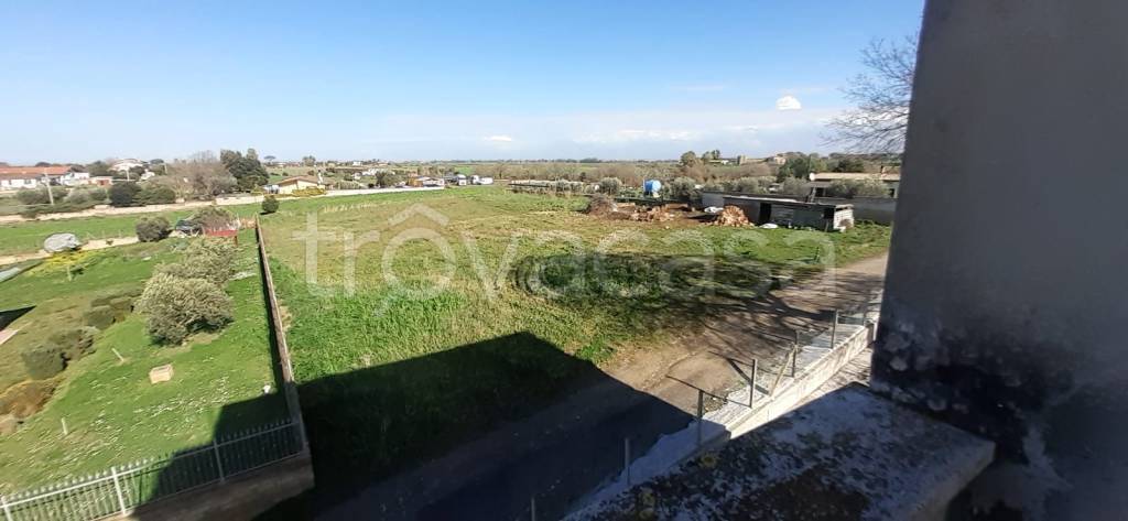 terreno agricolo in vendita a Roma in zona Castel di Guido