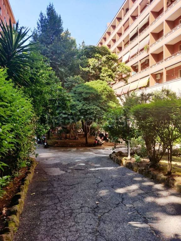 appartamento in vendita a Roma in zona Monte Sacro/Talenti