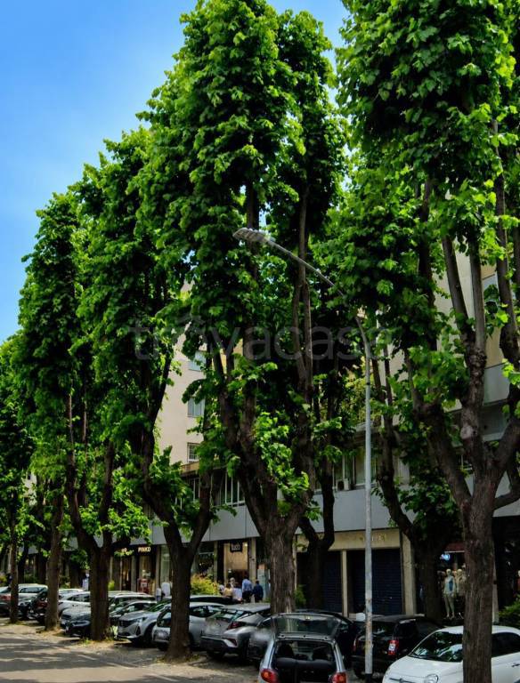 appartamento in vendita a Roma in zona EUR