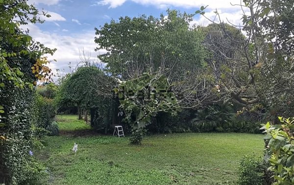 casa indipendente in vendita a Roma in zona Lago Regillo