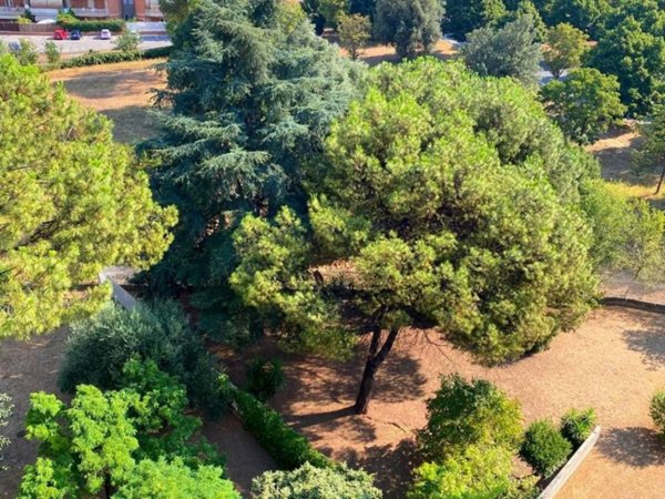 appartamento in vendita a Roma in zona Alessandrino