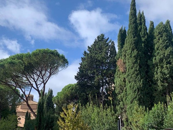 appartamento in vendita a Roma in zona Trieste