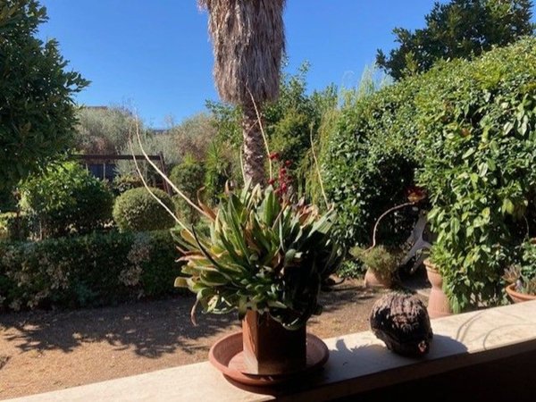 appartamento in vendita a Roma in zona Torre Maura