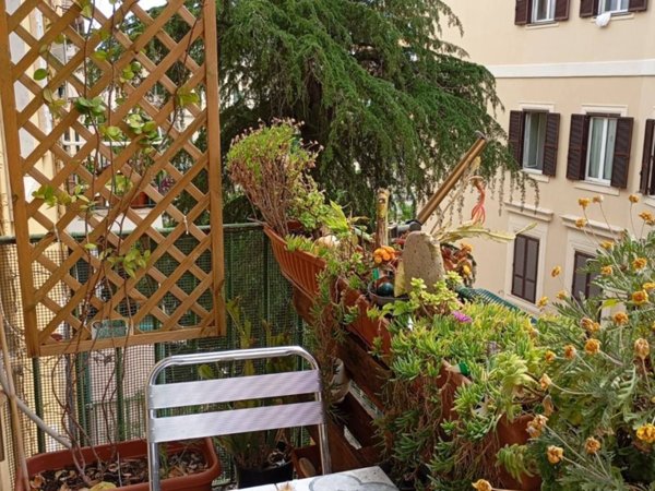 appartamento in vendita a Roma in zona Tuscolano