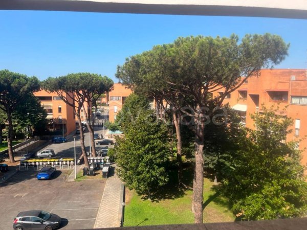 appartamento in vendita a Roma in zona Casal Palocco