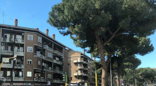 appartamento in vendita a Roma in zona Monte Sacro/Talenti