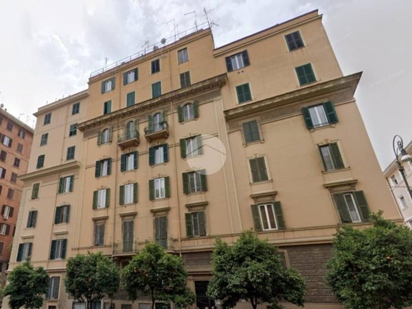 immagine annuncio 0 di 15