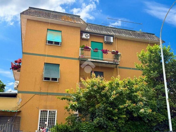 appartamento in vendita a Roma in zona Giuliano Dalmata
