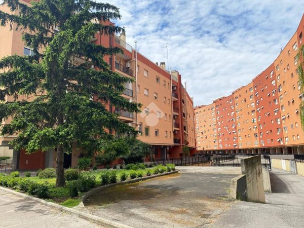 appartamento in vendita a Roma in zona Collatino