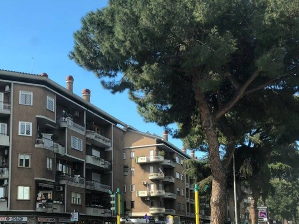appartamento in vendita a Roma in zona Monte Sacro/Talenti
