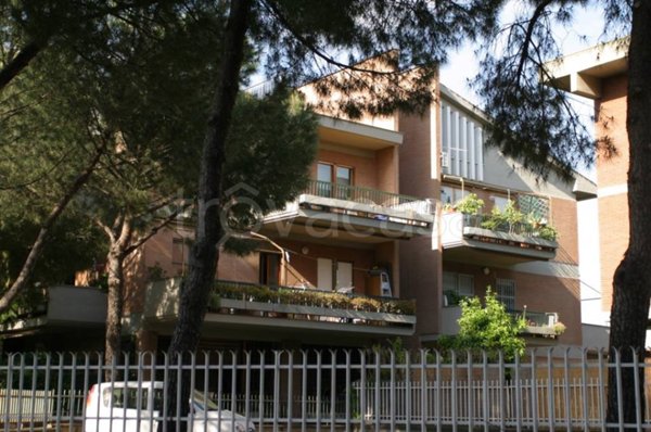 box auto in vendita a Roma