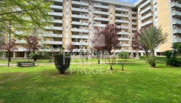 appartamento in vendita a Roma in zona Collatino
