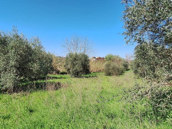 terreno in vendita a Roma in zona Finocchio
