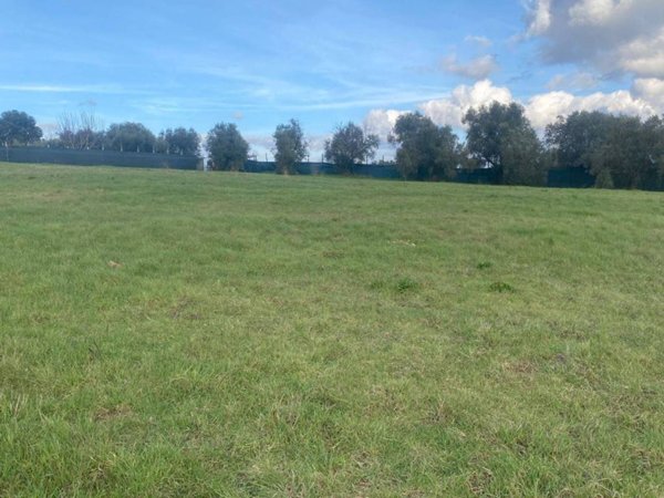 terreno in vendita a Roma in zona Spregamore