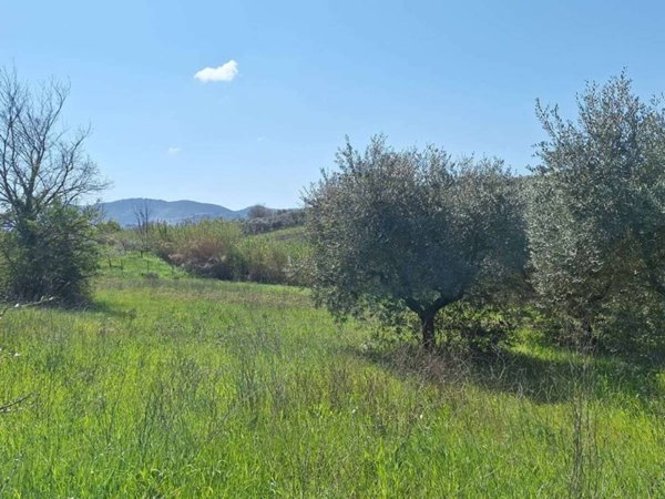 terreno in vendita a Roma in zona Finocchio