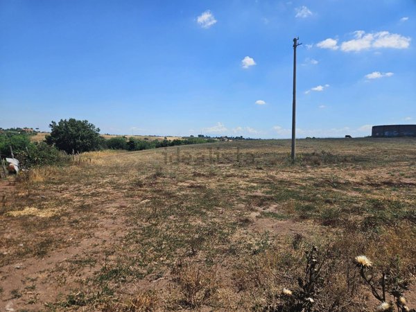 terreno in vendita a Roma in zona Trigoria