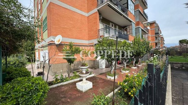 appartamento in vendita a Roma in zona Tor Vergata/Torrenova