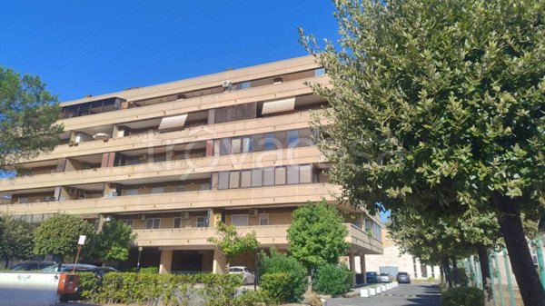 appartamento in vendita a Roma in zona Ponte di Nona