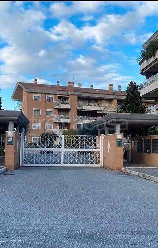 box auto in vendita a Roma