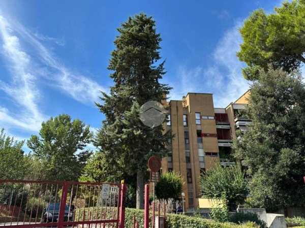 appartamento in vendita a Roma in zona Monte Sacro/Talenti