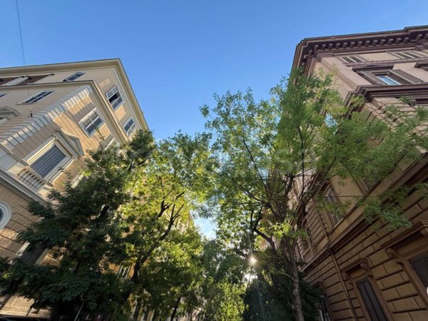 appartamento in vendita a Roma in zona Rione Prati