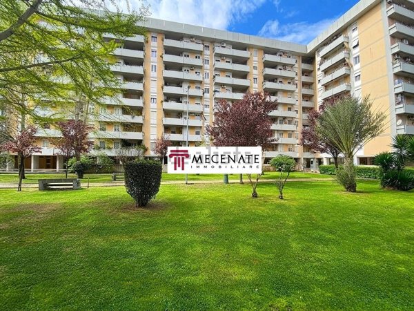 appartamento in vendita a Roma in zona Collatino