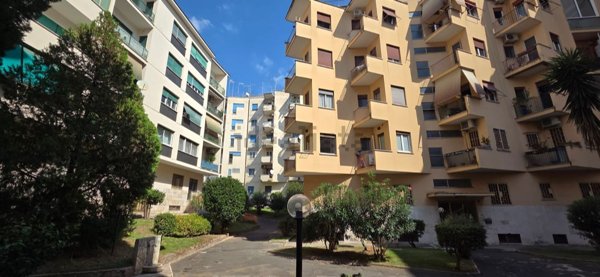 appartamento in vendita a Roma in zona Ardeatino
