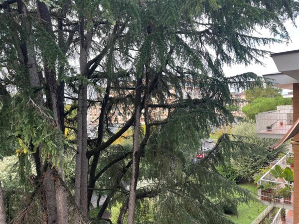 appartamento in vendita a Roma in zona Val Melaina