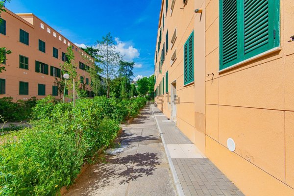 appartamento in vendita a Roma in zona Monte Sacro/Talenti