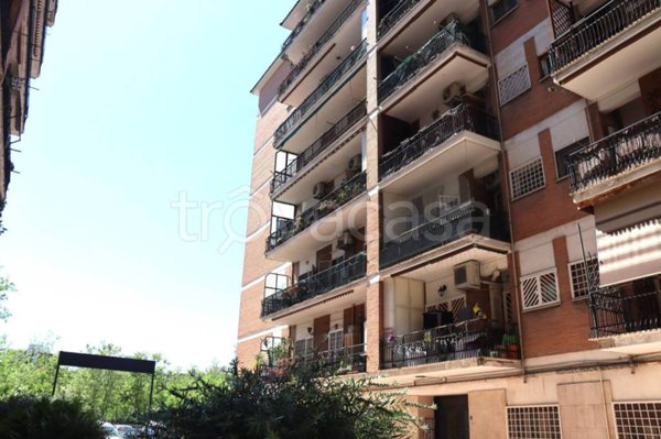 appartamento in vendita a Roma in zona Monte Sacro/Talenti