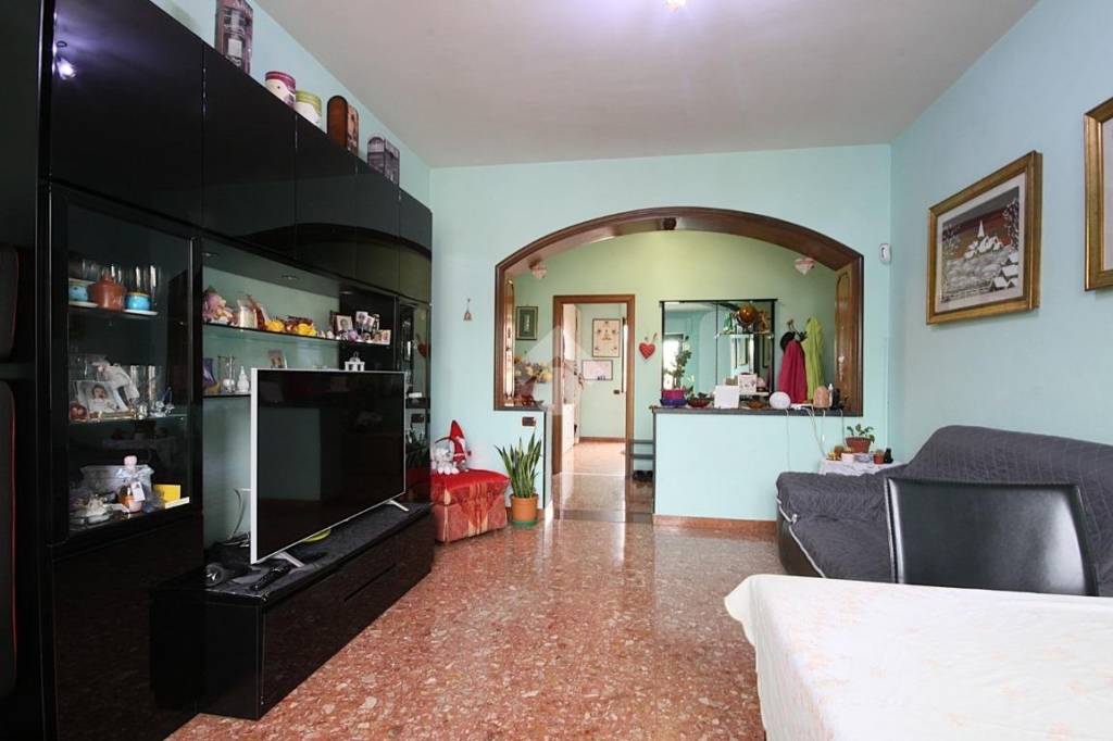 immagine annuncio 0 di 15