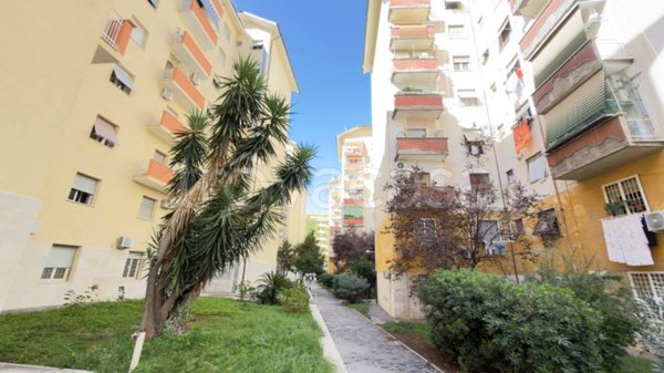 appartamento in vendita a Roma in zona Don Bosco