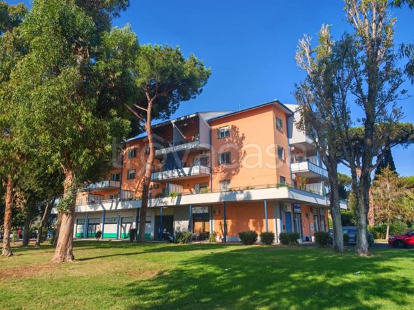 appartamento in vendita a Roma in zona Casal Palocco