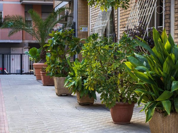 appartamento in vendita a Roma in zona Don Bosco